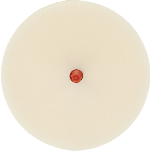 Scotch-Brite Moulding Adhesive & Stripe Removal Disc, 7501, 4" Dia. OSI Industrial Sales