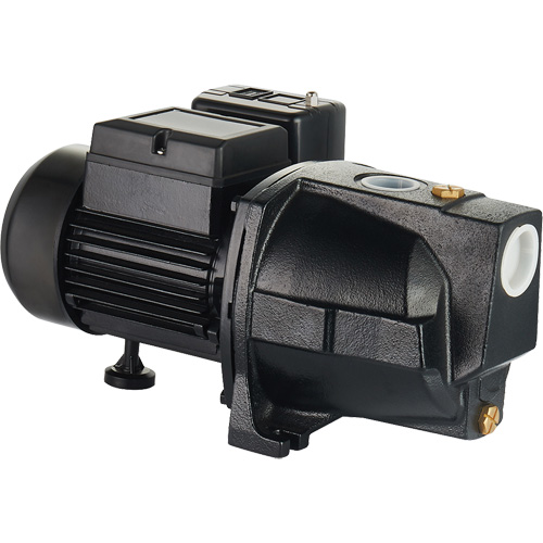 Dual Voltage Cast Iron Shallow Well Jet Pump, 115 V/230 V, 1100 GPH, 1 HP OSI Industrial Sales