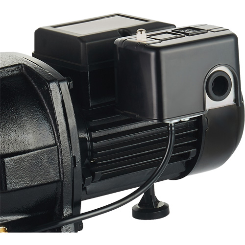 Dual Voltage Cast Iron Shallow Well Jet Pump, 115 V/230 V, 1100 GPH, 1 HP OSI Industrial Sales