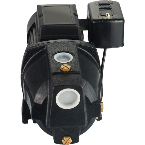 Dual Voltage Cast Iron Shallow Well Jet Pump, 115 V/230 V, 1100 GPH, 1 HP OSI Industrial Sales
