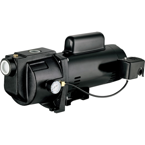 Pompe &agrave; jet en fonte &agrave; double tension pour puit peu profond, 115 V/230 V, 1260 gal./h, 1 CV OSI Industrial Sales