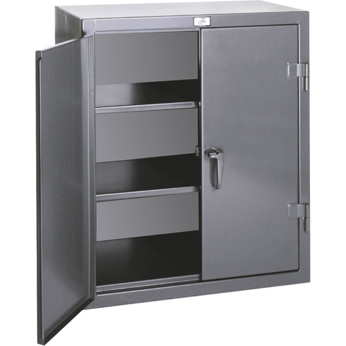 Armoires de rangement hauteur comptoir, Acier, 2 Tablettes, 36" h x 24" la x 20" P, Gris OSI Industrial Sales