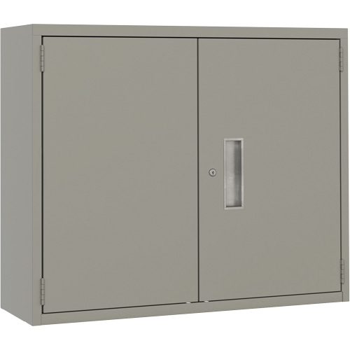 Armoire murale, Acier, 2 Tablettes, 30" h x 36" la x 12" P, Gris OSI Industrial Sales