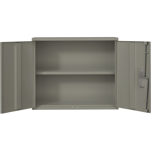 Armoire murale, Acier, 2 Tablettes, 30" h x 36" la x 12" P, Gris OSI Industrial Sales