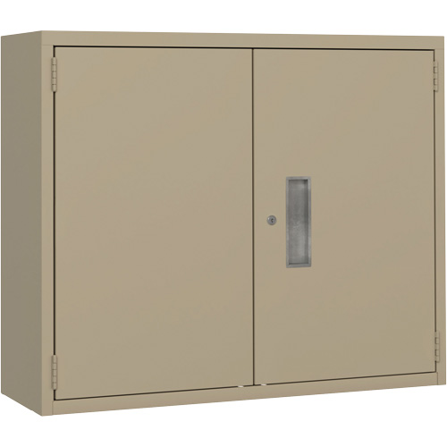 Wall Mounted Cabinet, Steel, 2 Shelves, 30" H x 36" W x 12" D, Beige OSI Industrial Sales