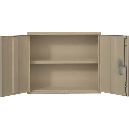 Wall Mounted Cabinet, Steel, 2 Shelves, 30" H x 36" W x 12" D, Beige OSI Industrial Sales