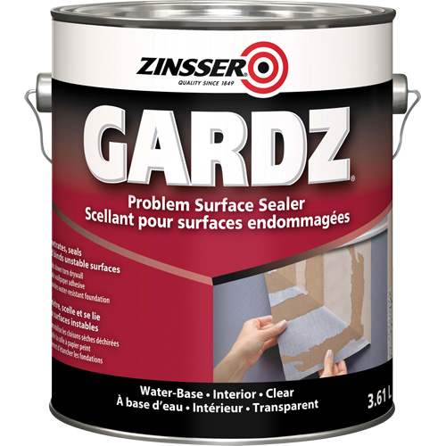 Scellant de surface &agrave; probl&egrave;mes Gardz, 916 ml, Canette, Transparent OSI Industrial Sales