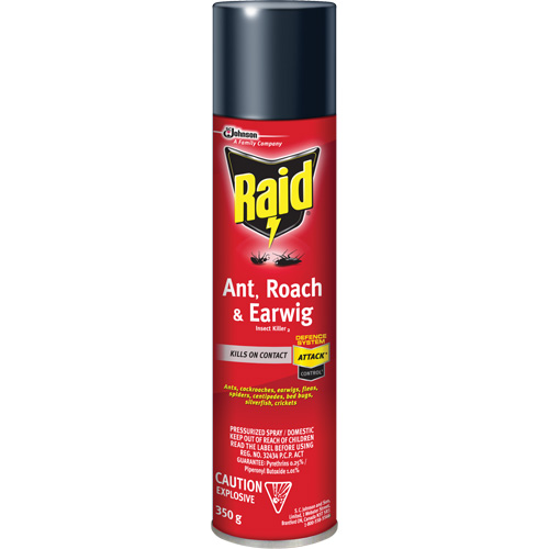 Insecticide contre fourmis, coquerelles et perce-oreilles Raid, 350 g, &agrave; base de solvant OSI Industrial Sales
