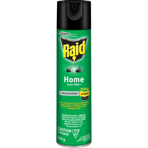 Insecticide pour insectes domestiques Raid, 350 g, &agrave; base de solvant OSI Industrial Sales