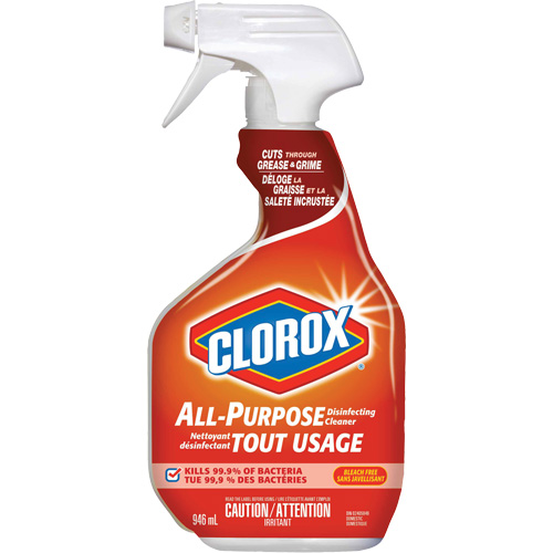 All-Purpose Disinfecting Cleaner Spray, 946 ml, Trigger Bottle OSI Industrial Sales