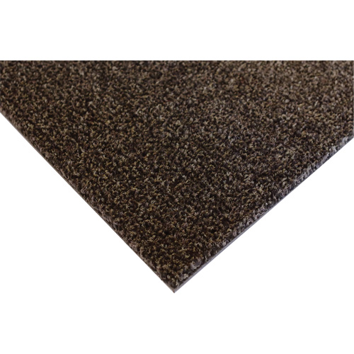 Tapis dint&eacute;rieur Palliser, Essuie-pieds/grattoir, 3-1/2' x 6' x 5/16", Anglis OSI Industrial Sales