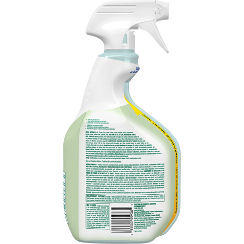 CloroxPro Clorox EcoClean Disinfecting Cleaner, 946 ml, Trigger Bottle OSI Industrial Sales