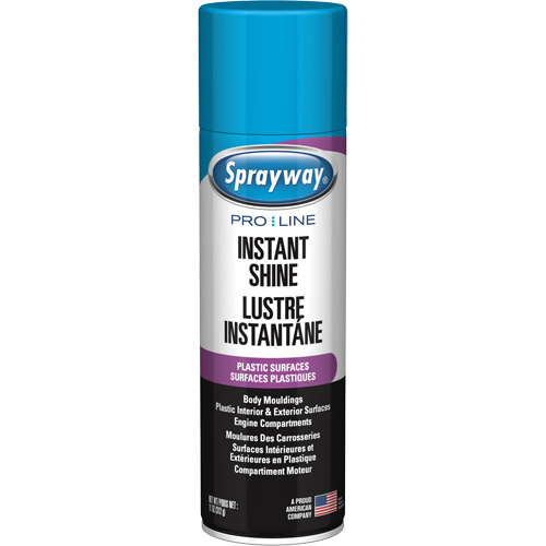 Brillant instantan&eacute; Pro Line pour surfaces en plastique, 11 oz, Canette a&eacute;rosol OSI Industrial Sales