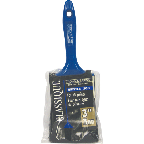 Pinceau classique, Soies, Manche Plastique, Largeur de 3" OSI Industrial Sales