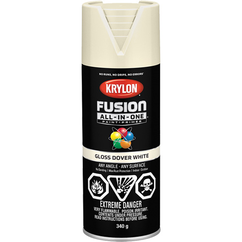Fusion All-In-One Spray Paint, Dover White, Gloss, 12 oz., Aerosol Can OSI Industrial Sales