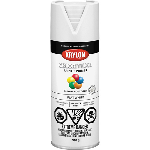 Appr&ecirc;t + peinture COLORmaxx, Blanc, Tr&egrave;s mat, 12 oz, Canette a&eacute;rosol OSI Industrial Sales