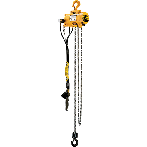 Budgit&reg; Air Chain Hoists OSI Industrial Sales