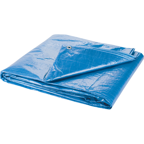 Tarp, Standard Duty, Blue, 7' x 5' x 4 mils OSI Industrial Sales