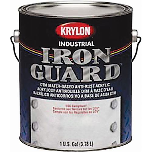 &eacute;mail industriel &agrave; base d'eau Iron Guard, Canette, Gris OSI Industrial Sales