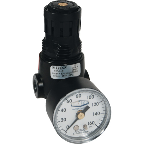 Wilkerson Miniature Regulator R04, 1/4" NPT, 300 psi Max. PSI, Standard OSI Industrial Sales