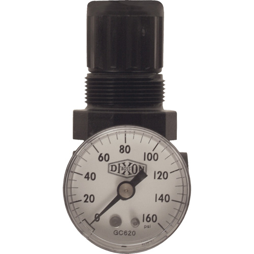 R&eacute;gulateur miniature de s&eacute;rie 1, 1/8" NPT, PSI max. de 100 psi, Standard OSI Industrial Sales