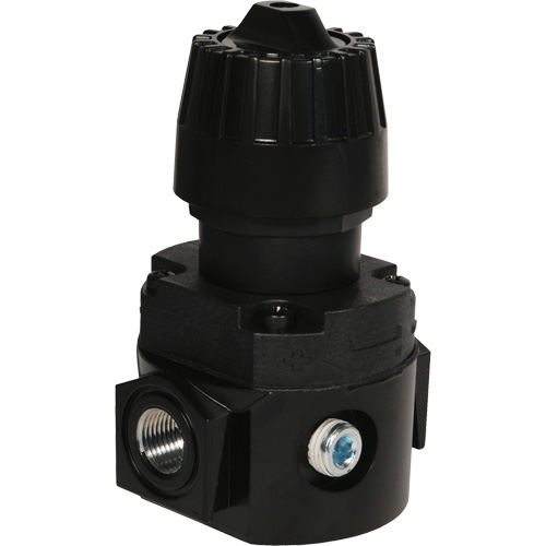 R&eacute;gulateur compact R16 Wilkerson, 1/4" NPT, PSI max. de 300 psi, Standard OSI Industrial Sales