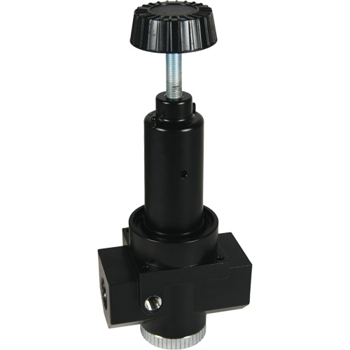 R&eacute;gulateur &agrave; d&eacute;bit &eacute;lev&eacute; R30 Wilkerson, 3/4" NPT, PSI max. de 300 psi, Standard OSI Industrial Sales
