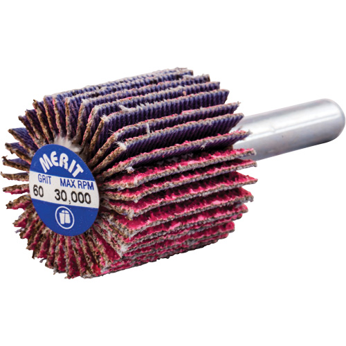 Mini-meule &agrave; lamelles mont&eacute;e sur tige, C&eacute;ramique d'alumine, Grain 60, 1" x 1" x 1/4" OSI Industrial Sales
