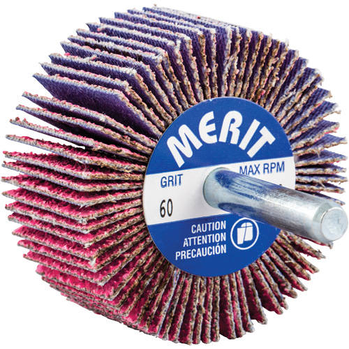 Mini-meule &agrave; lamelles mont&eacute;e sur tige, C&eacute;ramique d'alumine, Grain 60, 2" x 1" x 1/4" OSI Industrial Sales