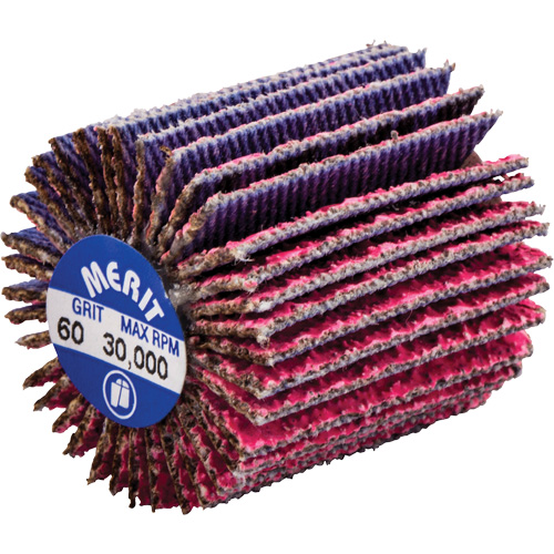 Mini-meule &agrave; lamelles filet&eacute;es, C&eacute;ramique d'alumine, Grain 60, 1" x 1" x 1/4"-20 OSI Industrial Sales