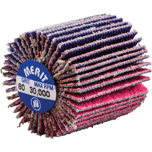 Mini-meule &agrave; lamelles filet&eacute;es, C&eacute;ramique d'alumine, Grain 80, 1" x 1" x 1/4"-20 OSI Industrial Sales