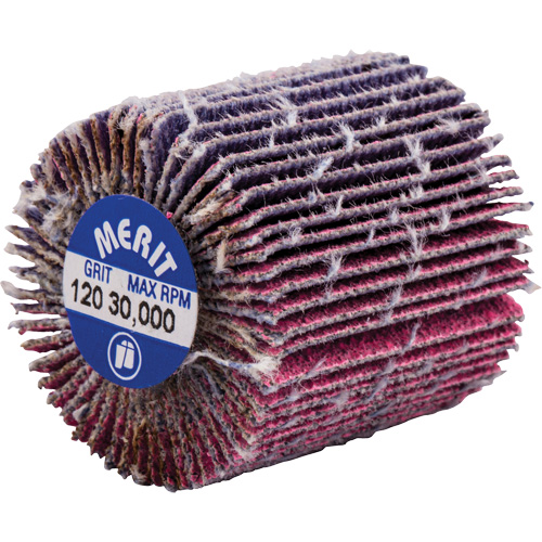 Mini-meule &agrave; lamelles filet&eacute;es, C&eacute;ramique d'alumine, Grain 120, 1" x 1" x 1/4"-20 OSI Industrial Sales