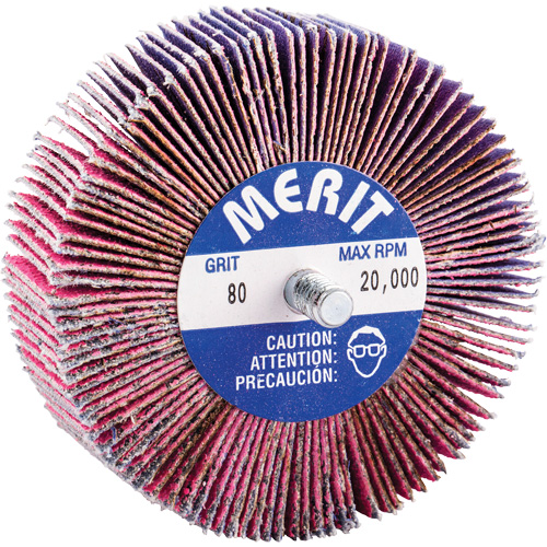 Mini-meule &agrave; lamelles filet&eacute;es, C&eacute;ramique d'alumine, Grain 80, 3" x 1" x 1/4"-20 OSI Industrial Sales