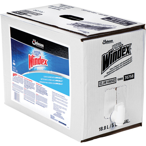 Nettoyant pour vitres Windex avec Ammoniac-D, 5 gal., Sac OSI Industrial Sales