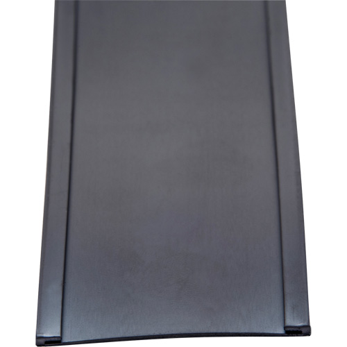 Card Holder, Magnetic, 600" L x 2" W OSI Industrial Sales