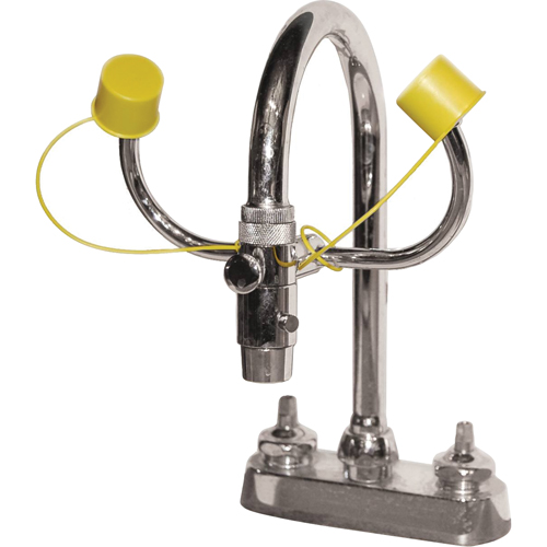 Eyewash Station, Sink Mount Installation OSI Industrial Sales