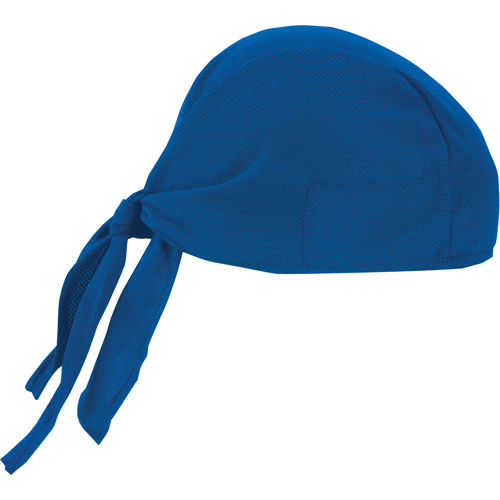 Coiffes de refroidissement Chill-Its 6615, Bleu OSI Industrial Sales