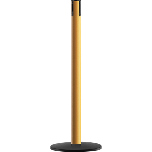 Syst&egrave;me Advance TensaBarrier - Poteau r&eacute;cepteur, Hauteur de 36", Jaune OSI Industrial Sales