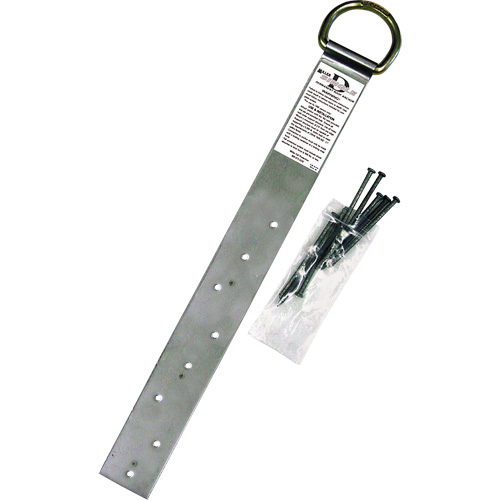 Ancrage simple pour toiture Miller, Anneau en D, Usage Permanent OSI Industrial Sales