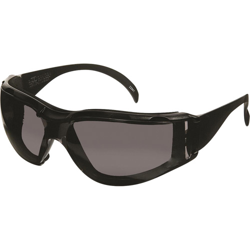 Lunettes de s&eacute;curit&eacute; CeeTec DX, Lentille Gris, Antibu&eacute;e/Anti-&eacute;gratignures, R&eacute;pond ou surpasse la norme CSA Z94.3 OSI Industrial Sales