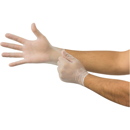 Gants jetables Derma Free MICROFLEX DF-850, 6,5/7/Petit, Vinyle, 3,1 mils/3,5 mils, Sans poudre, Transparent, Classe 2 OSI Industrial Sales