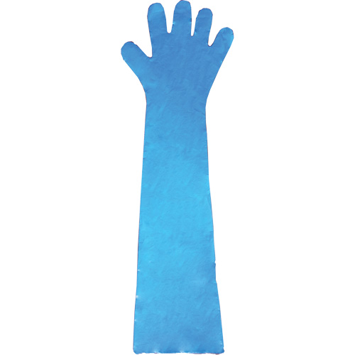 Gants jetables en latex, Gants jetables, Gants jetables en vinyle, Poly&eacute;thyl&egrave;ne, Sans poudre, Bleu OSI Industrial Sales