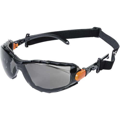 XPS502 Lunettes de s&eacute;curit&eacute; &eacute;tanches, Lentille Int&eacute;rieur/ext&eacute;rieur, Anti-&eacute;gratignures OSI Industrial Sales