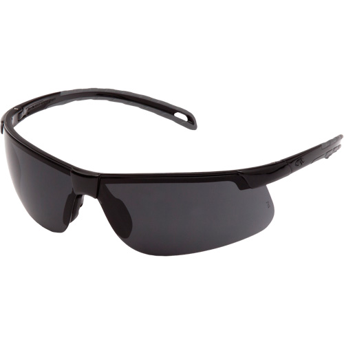 Lunettes de s&eacute;curit&eacute; Ever-Lite, Lentille Gris fonc&eacute;, ANSI Z87+/R&eacute;pond ou surpasse la norme CSA Z94.3 OSI Industrial Sales