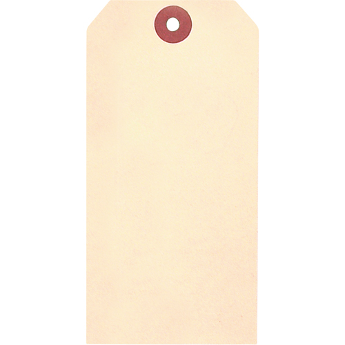 &eacute;tiquettes vierges en papier cartonn&eacute; de manille, Papier cartonn&eacute;, 1-5/8" la x 3-1/4" h OSI Industrial Sales