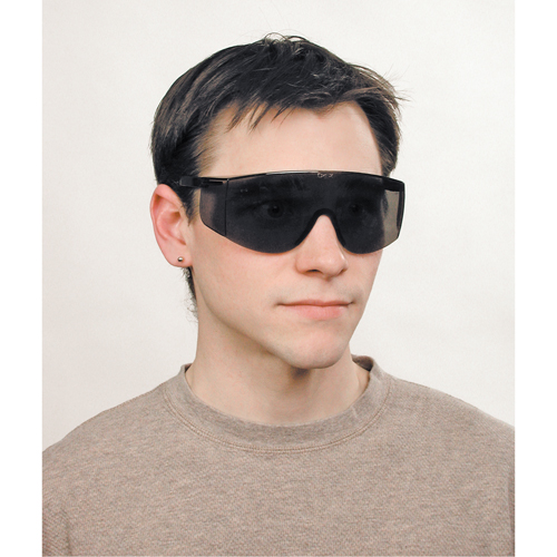 Lunettes de s&eacute;curit&eacute; Tacoma, Lentille Grise/fum&eacute;e, Anti-&eacute;gratignures, ANSI Z87+ OSI Industrial Sales