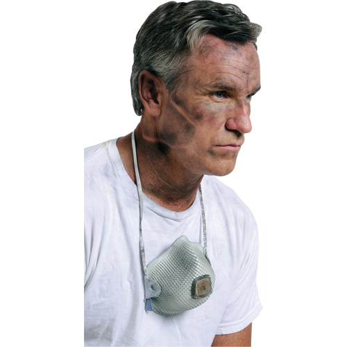Respirateurs  contre les particules 2700, N95, Certifi&eacute; NIOSH, Grand/Moyen OSI Industrial Sales