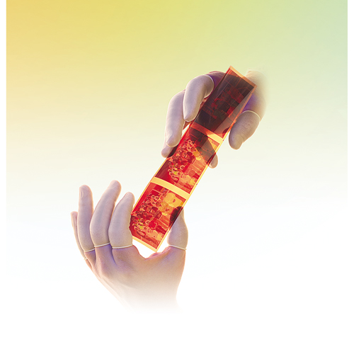 Doigtiers Qualatex en latex sans poudre QRP OSI Industrial Sales