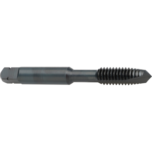 Taraud &agrave; entr&eacute;e h&eacute;licoidale, Acier rapide au cobalt, Filet de 8-32, 2-1/8" l OSI Industrial Sales