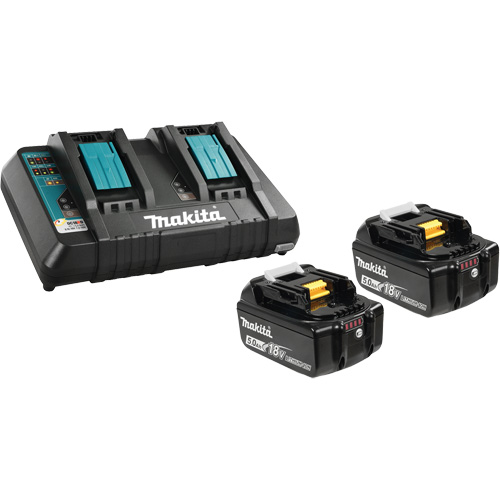 Li-Ion Battery & Dual-Port Charger Kit, 18 V, Lithium-Ion OSI Industrial Sales